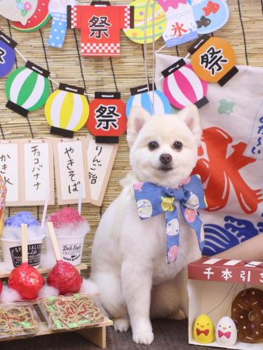 2024073ぽこちゃん